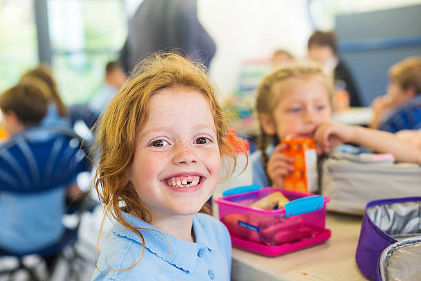 Pro-Chi Lentil Brownie Healthy Kids Lunches